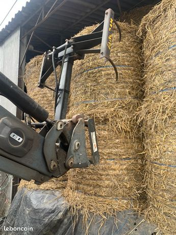 Pince balle 4 doigts Euro