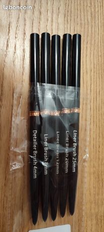 Pinceaux nail art liner professionnel