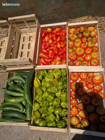 Place au centre du marché de Craponne 14m