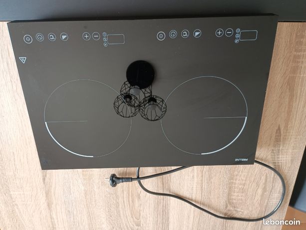 Plaque de cuisson 2 feux a induction posable proline