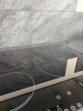 Plaque de cuisson à induction quasi neuve