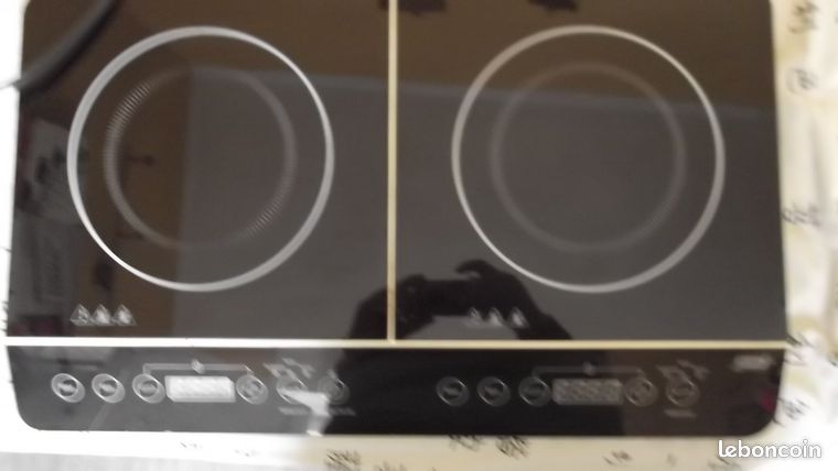 Plaque de cuisson electrique