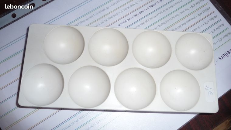 Plaque de rangement pour oeufs