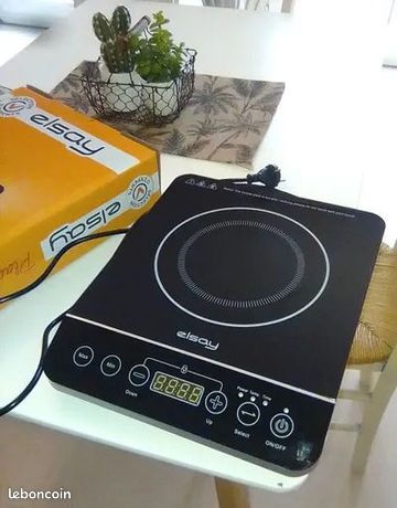 Plaque induction elsay