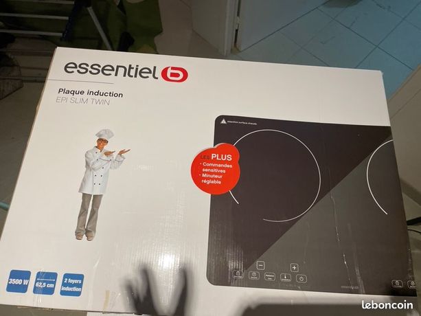 Plaque induction portable