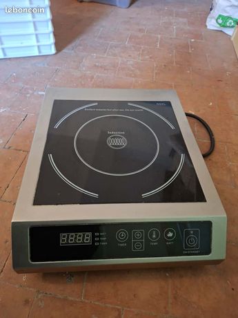 Plaque induction professionellle - SCHOTT CERAN