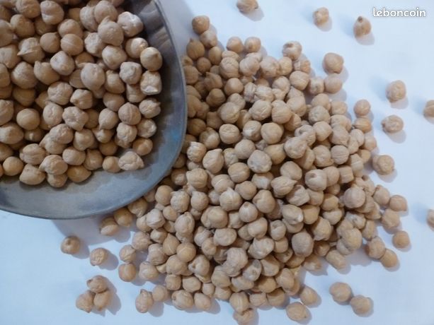Pois Chiche BIO assurée