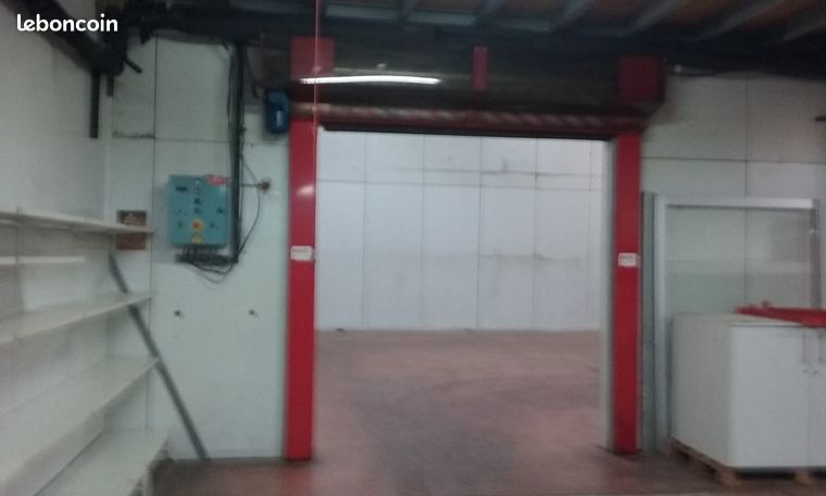 Porte Garage Electrique Mobile