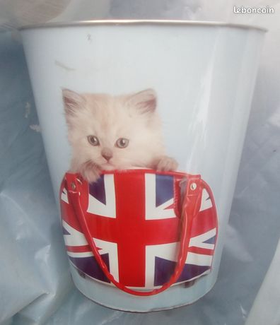 Poubelle de chambre / bureau