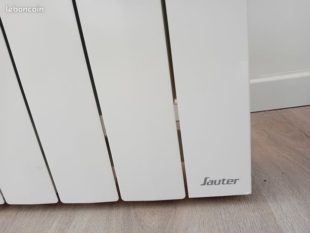 Radiateur électrique à inertie fluide