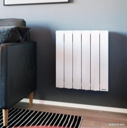 Radiateur SAUTER Orosi 1000w neuf