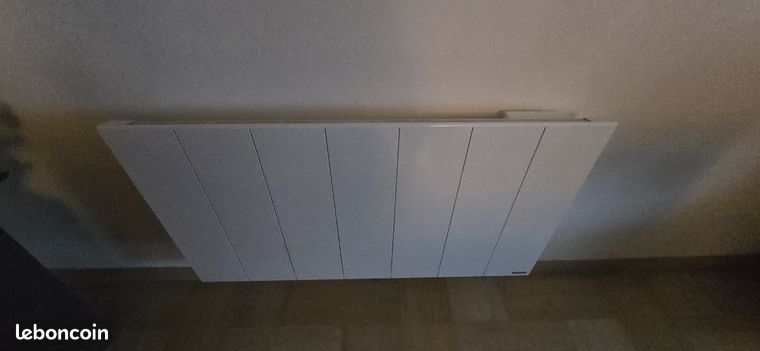 Radiateur Thermor 2000 W cur de fonte