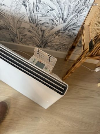 Radiateurs à inertie