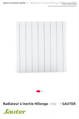 Radiateurs sauter Corps de chauffe Fonte