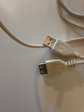 Rallonge USB AA Male/Femelle