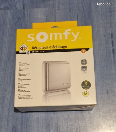 Récepteur d'éclairage radio RTS intérieur ON/OFF 500W - Somfy 2401073