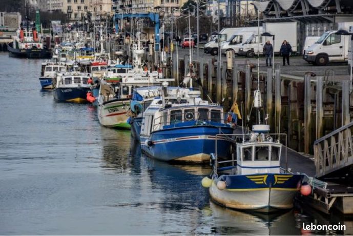 Recherche marché poisson