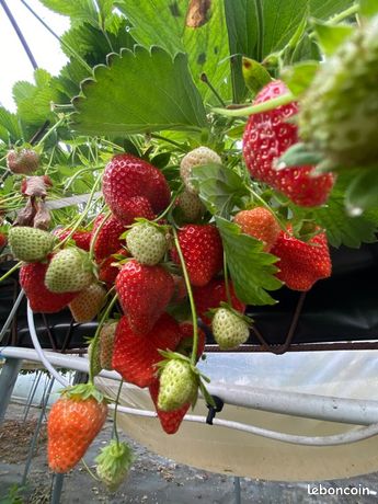 Recherche terrain 2-3 hectares