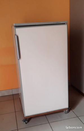 Réfrigérateur avec freezer
