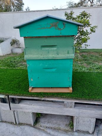 Ruche Dadant 10 cadres