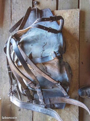Selle de cheval