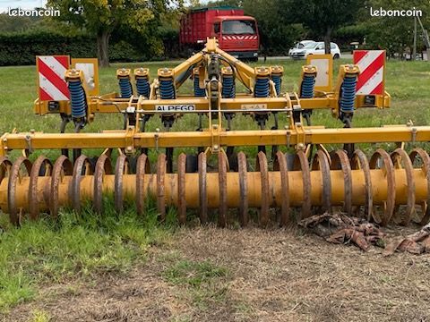 Shirel Allégorie Cayman