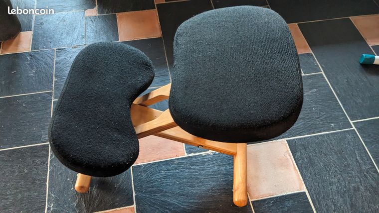 Siège de bureau ergonomique