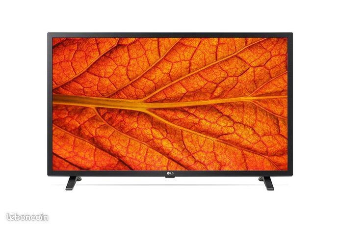 Smart TV LG 32/80 cm avec support mural