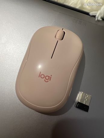 Souris Bluetooth silencieux H24