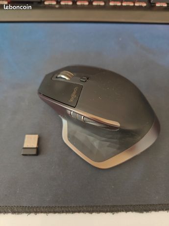 Souris Logitech MX master