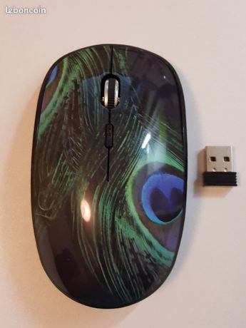 Souris sans fil avec clé USB pour PC