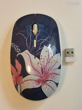 Souris sans fil avec clé USB pour PC