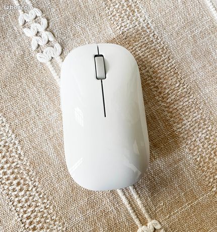 Souris sans fil bluetooth