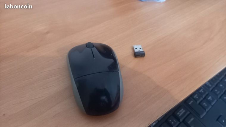 Souris sans fil logitech M195