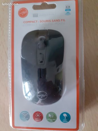 Souris SANS FIL