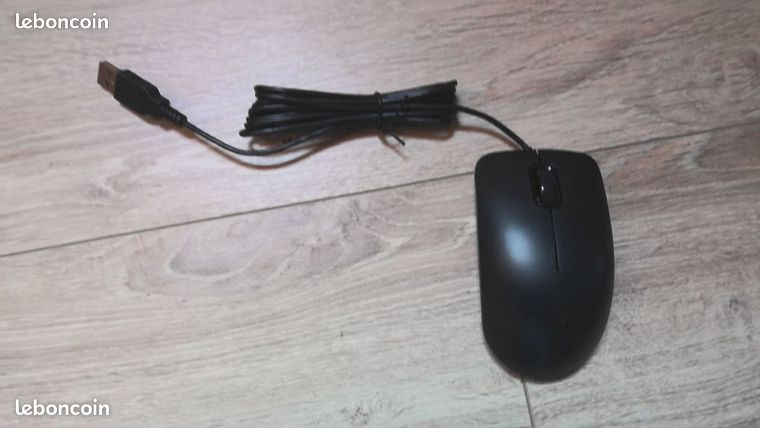 Souris