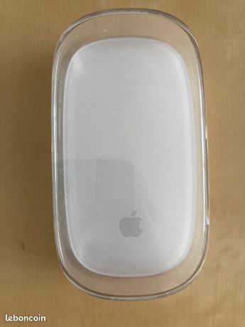 Souris APPLE Magic Mouse