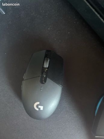 Souris G305