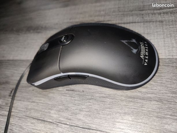 Souris gamer