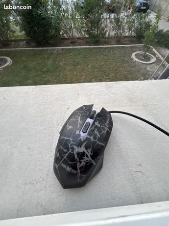 Souris gamer maxter