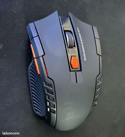 Souris Gaming