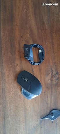 Souris logitech Mx master