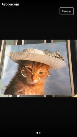 Sous Main plastifié Chat