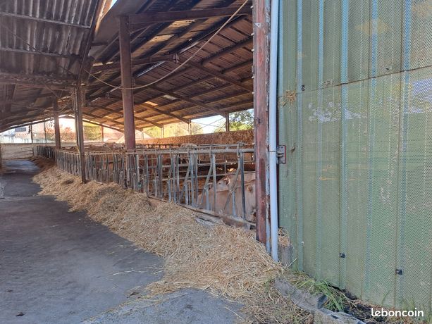 Stabulation et grange
