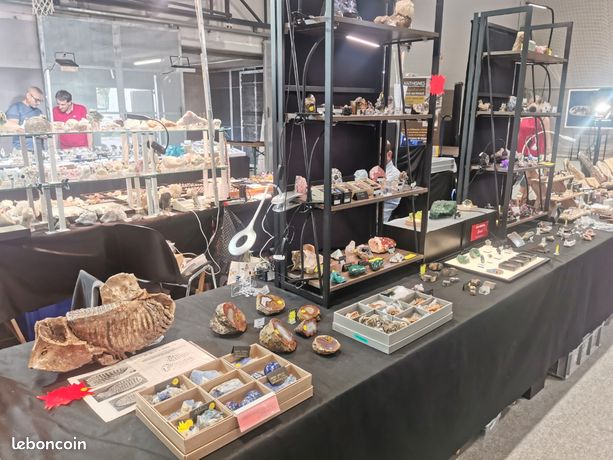 Structure d'exposition avec étagères