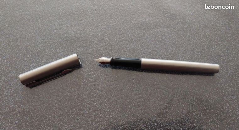 Stylo plume Waterman finition mat