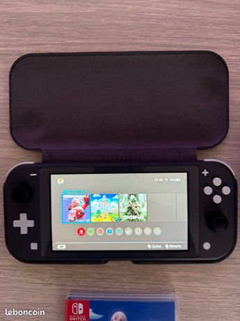 Switch lite