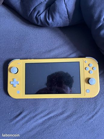 Switch lite