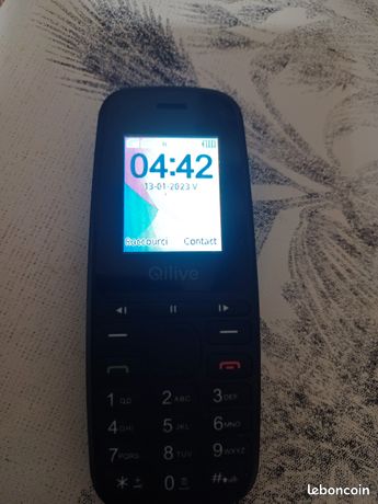 Téléphone portable Qilive