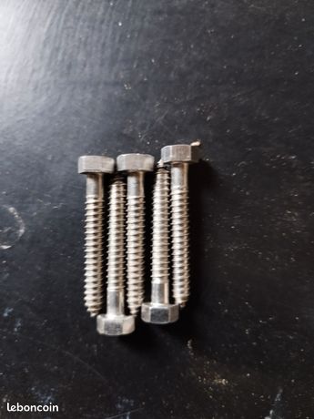 Tirefonds inox 6×50